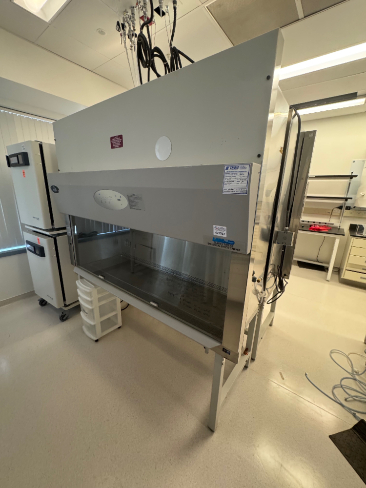 Image of Nuaire Class II type A2 6' BioSafety Cabinet